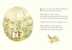 Further Tale of Peter Rabbit