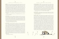 Classical Mythology A to Z