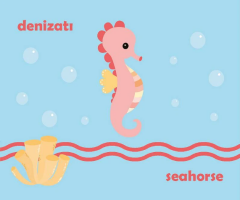 Yırtılmaz Kitap: Deniz Canlıları 3 (Mini Kitap)