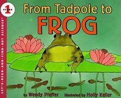 From Tadpole to Frog