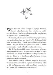 Gerçek Dünya Böyledir