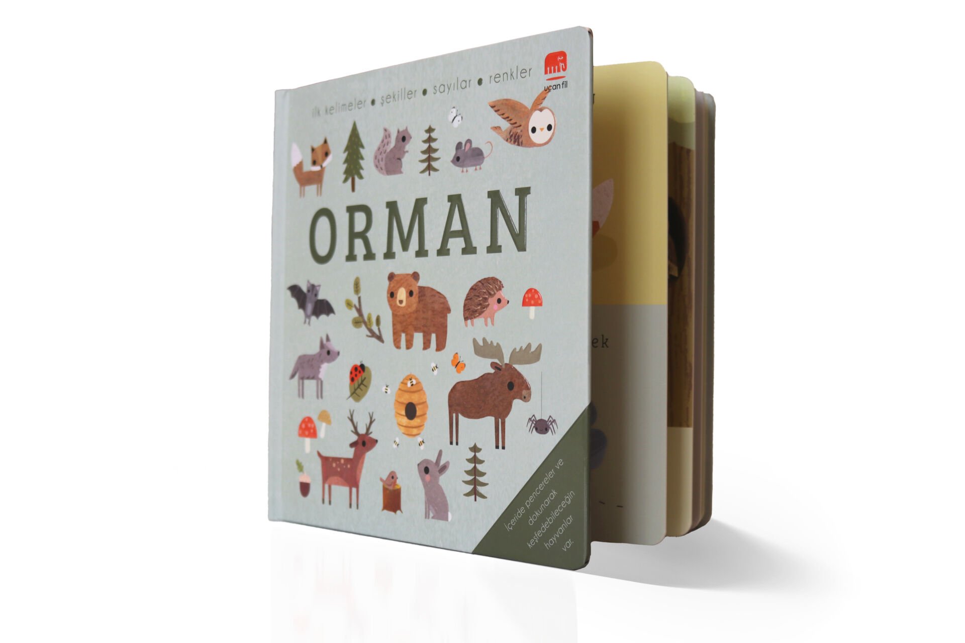 Say Bul Eğlen - Orman