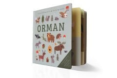 Say Bul Eğlen - Orman