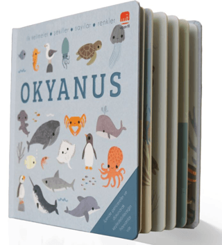 Okyanus