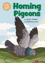 Homing Pigeons, IR Orange - 6