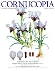 Cornucopia Issue 67, 2024/2025