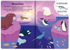 Çıkartmalarla Okyanus