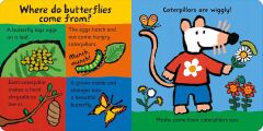 Maisy Loves Butterflies