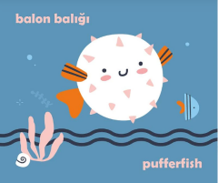 Yırtılmaz Kitap: Deniz Canlıları 2