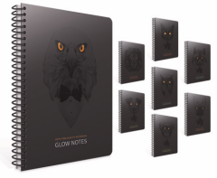 Glow Notes 17x24 Spiralli Karton Kpk 80 yp Çizgili