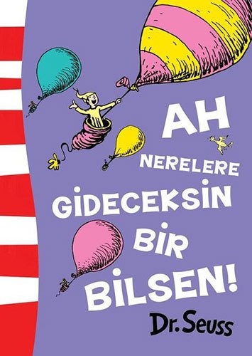 Ah Nerelere Gideceksin Bir Bilsen!