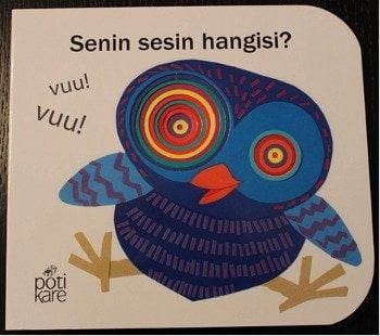 Senin Sesin Hangisi?