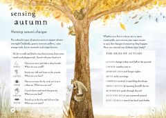 Field Guide to Autumn