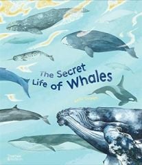 Secret Life of Whales