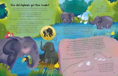 Little Bedtime Book of Impossible ANIMAL Questions