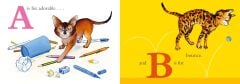 C is for Cat